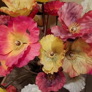 Meet your Posher, Kari